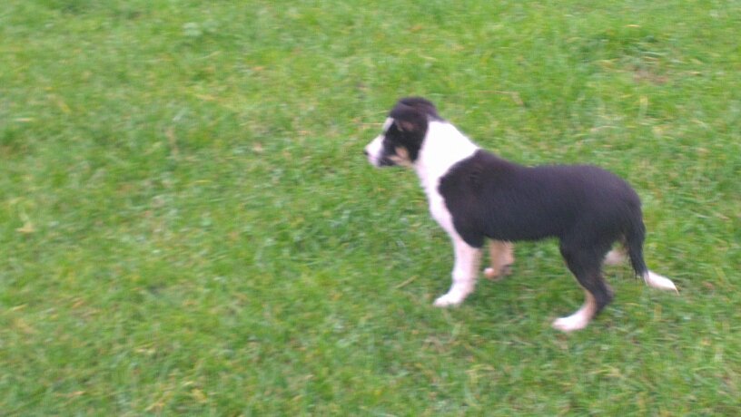 davehero25's profile picture. 