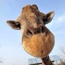 Dennis Gu - @guxianyong - Twitter