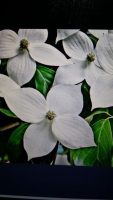 qkek2014's profile picture. 