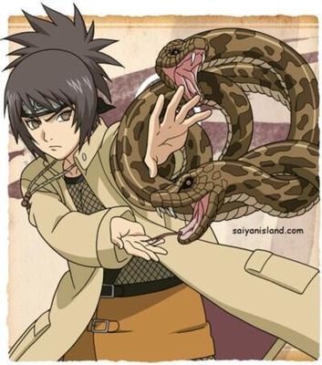 Former student of Orochimaru/Loves dango/Alive and well