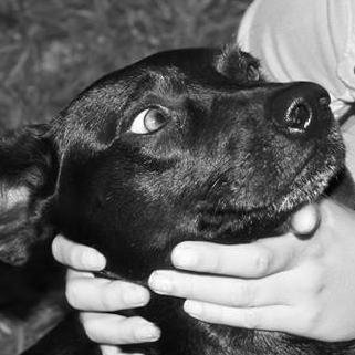 GabrielFonsec90's profile picture. 