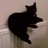 SparkleCat45's profile image