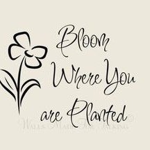 Happily married, empty-nesting, Christ following, vegan cooking blogger and knitter. In every situation, I am #findingjoyinthejourney