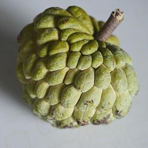 romafiri's profile picture. アフィリ初心者です。adsenseだけ経験あり。ASPに挑戦していきます。