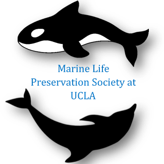 Official twitter of the Marine Life Preservation Society at UCLA. Our organization aims to educate about the importance of preserving the ocean (the bruin way).