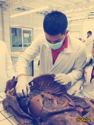 SLaguai's profile picture. sigeme y te sigo