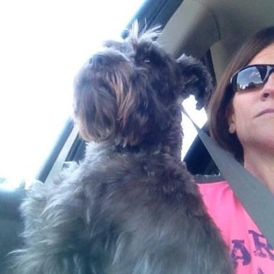 spinit_tennis's profile picture. 