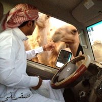 صقر بلي 🇸🇦 (@sger2013) 's Twitter Profile Photo صقر بلي 🇸🇦 (@sger2013) 's Twitter Profile Photo