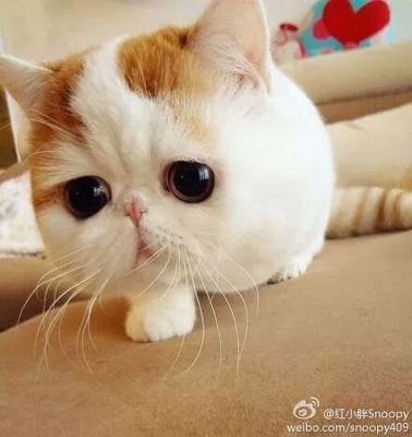 ก็ดี อยู่เฉยๆ ไม่อยากมีอะไรเกิดขึ้นเลย
