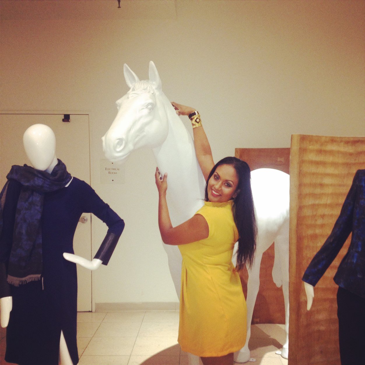 Ceo of Luxe Lifestyles NYC 