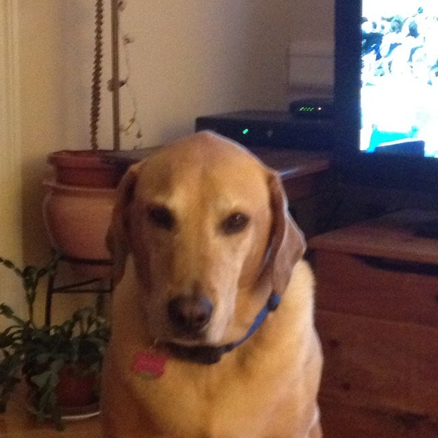 Durango136's profile picture. Add a bio to your profile