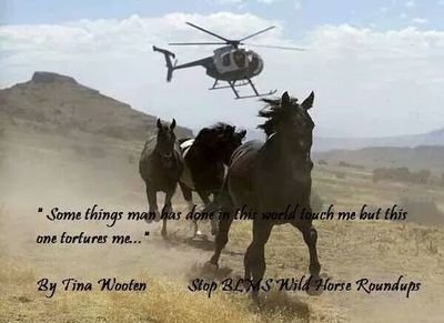Faith, family (my two sons are my heart and soul), friends and traveling.