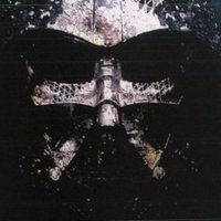 Espectrópico (@ngmrlz) 's Twitter Profile