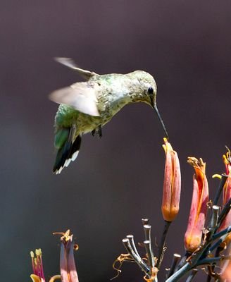 markj3252's profile picture. 