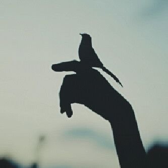 ‏‏‏‏‏‏(‏‏عاشقه الاتحاد ♥) مجرد إنسانه..في وجهها إبتسامه فرحانه وفي عينها دمعه حيرانه..بتفرح و تضحك..بتزعل و تحزن..