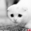 Lynn Wilkins - @Usa123Lynn - Twitter