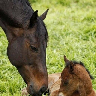 tr5850's profile picture. 