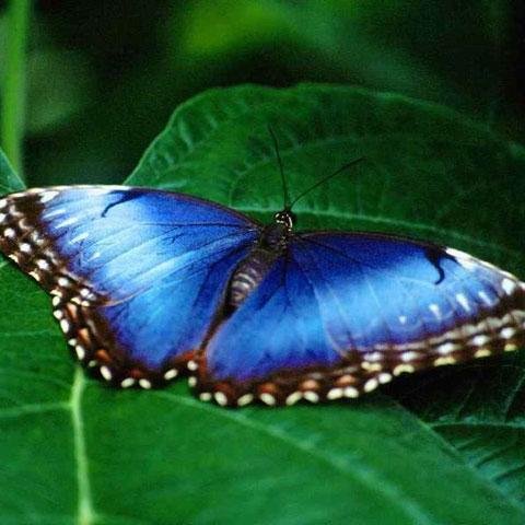 Great quotes,meditation,Buddha, healing, peace, Jesus, yoga, crystal, energy, wisdom