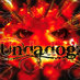 Undadogz (@undadogz) Twitter profile photo Undadogz (@undadogz) Twitter profile photo