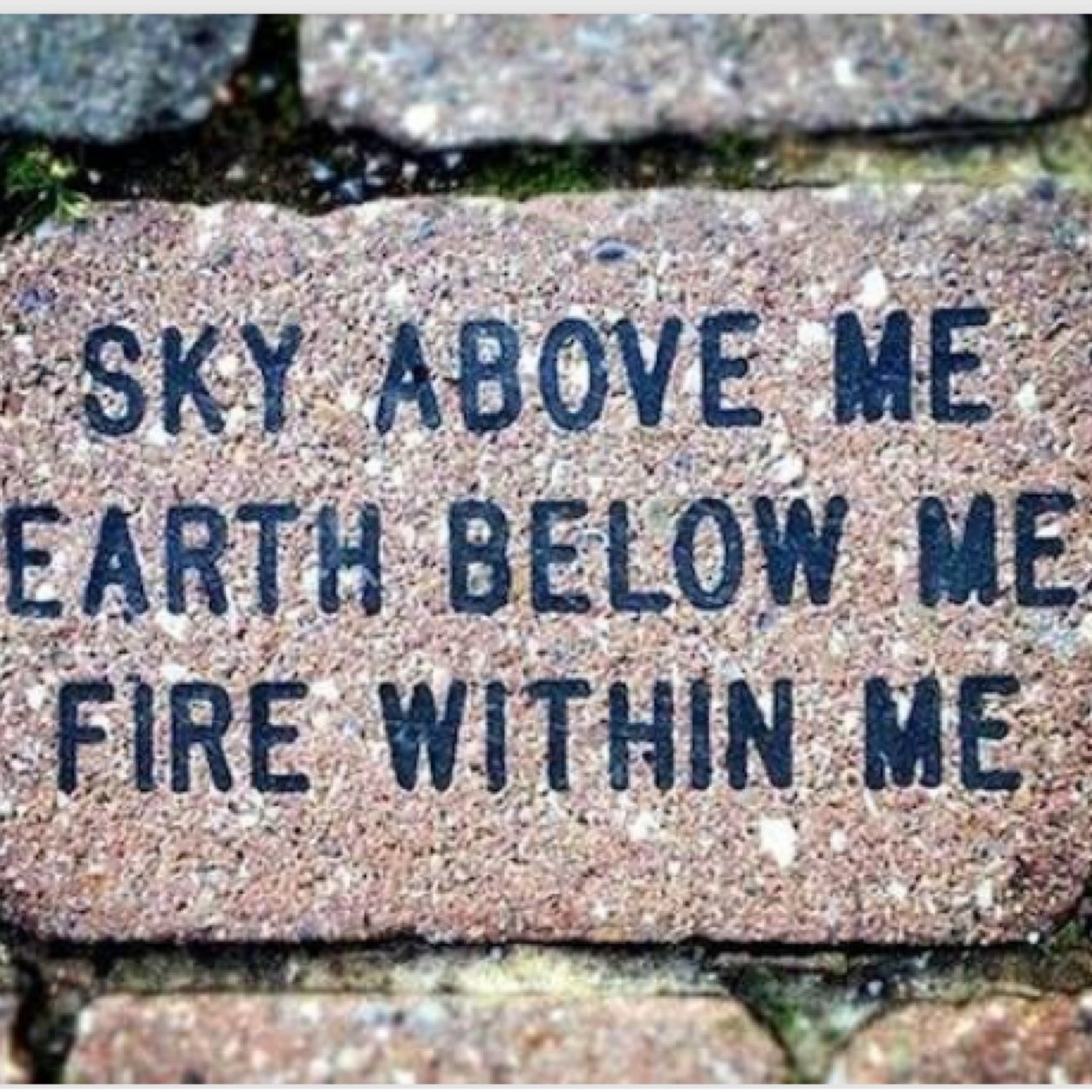 vikimartin's profile picture. 