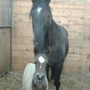 Phyllis Lambert - @phyllis49378495 - Twitter