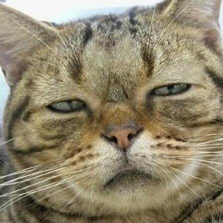 Johnhillx Profile Picture