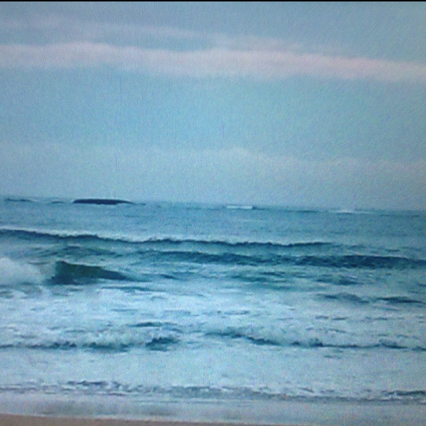 catty724's profile picture. الحياة الجديدة مع جزيرة العرب.