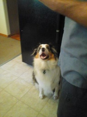 HmyersBen's profile picture. 