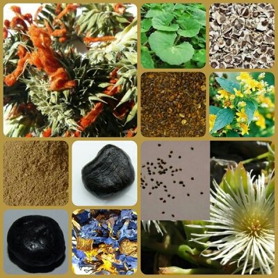 egeresz's profile picture. Weasel