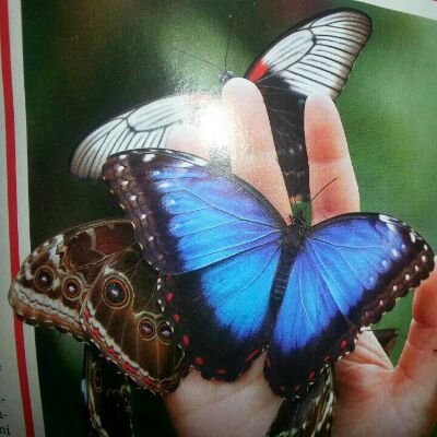 AtzoriMarisa's profile picture. 