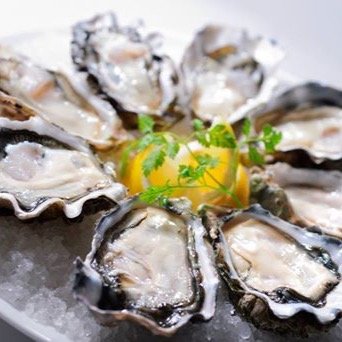 oyster_room_ent's profile picture. 西梅田にある生牡蠣&牡蠣料理のお店です\( ˆoˆ )/ ワインと生牡蠣でお洒落なランチやディナーはいかがでしょうか？✨デートや女子会、接待など様々なシーンでご利用いただけます！！
お店の地図やイベントなどの詳細は下記のURLでご覧ください◡̈