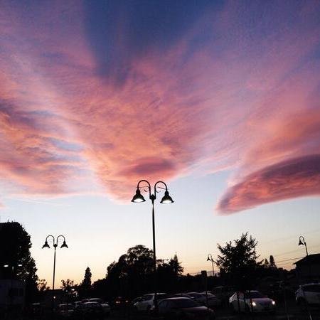 insubordinate_x's profile picture. everything is perfect