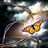 bapopasoqab's profile image
