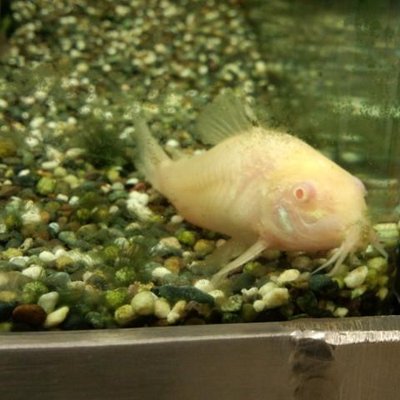 自堕落 どうせ蚊に刺されなんて虫除けスプレーしないからだと思ってるんだろ ストッキングに虫除け スプレーするとストッキング溶けるんだよ