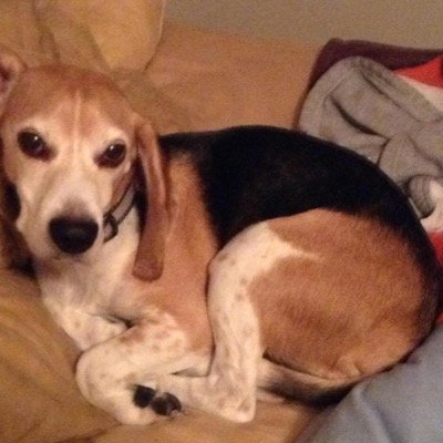 Rovitoa17Tony's profile picture. 