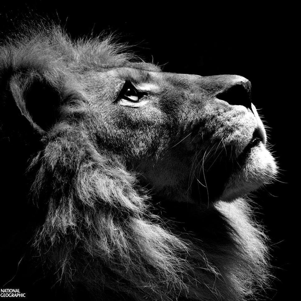 THERE IS NO GOD, NO UNIVERSE, NO HEAVEN, NO HELL. LIFE ITSELF IS ONLY A VISION, A DREAM. NOTHING EXISTS, SAVE EMPTY SPACE AND YOU. AND YOU ARE BUT A THOUGHT.