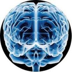 Tod@s debemos encontrar el sentido de nuestras vidas, buscándolo y sin saberlo me hice ESCRITOR. Ahora bien; ¿Cual es el sentido de tu vida?