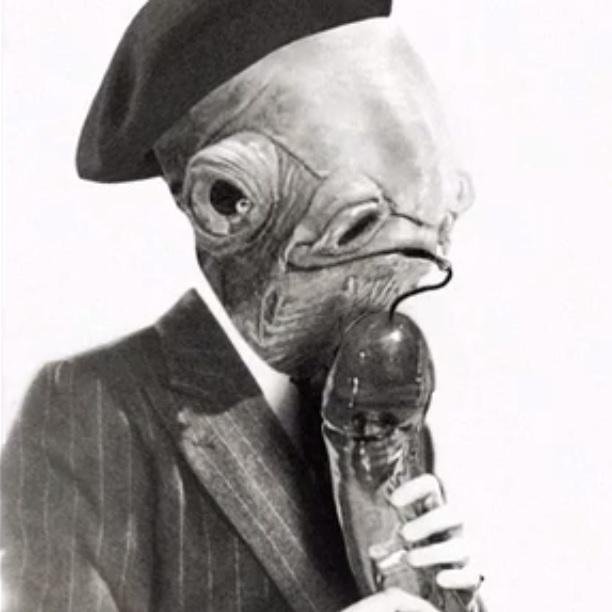 goofdoggs's profile picture. "Is cheerful and calm, and no one is more loyal."