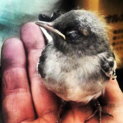 ノウハウコレクターの何が悪いんですか？ 稼げないのは未来を明確にしないで、人をないがしろにするから。 情報には価値があります。無料有料に関わらずです。この世のあらゆる理解や表現は概念化した名辞に帰属します。 人のせいにするのをやめて、自分に向き合ってからインターネットビジネスは僕にとって大きな武器となりました！！