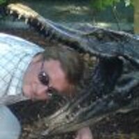 Al Carlton (@alcarlton) 's Twitter Profile