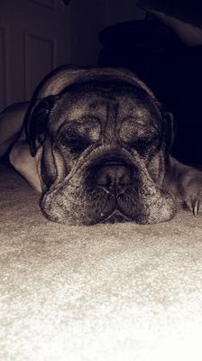 RookerLuke's profile picture. to believe in God you must believe in the Devil.