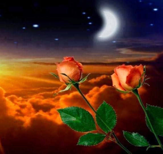 luisnunez01091's profile picture. 