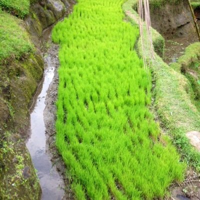 lacourarjeau's profile picture. agent immobilier independante depuis 1998 a bordeaux bastide