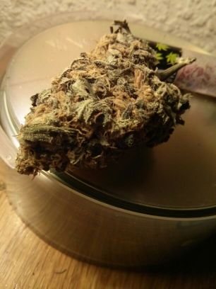 MastahWeed's profile picture. 