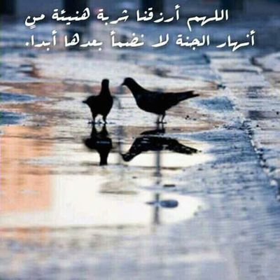 ‏يوماً ما سَ أرحل كما رحلوا ، يا كريم أكرمني خاتمه حسنه .