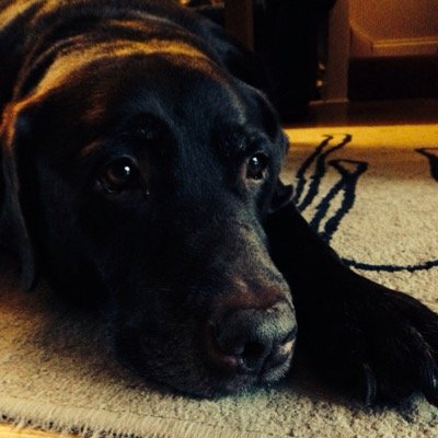 clare_2709's profile picture. 