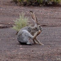 VapingLikeCrazyInAZ (@vapingadvocate) 's Twitter Profile Photo VapingLikeCrazyInAZ (@vapingadvocate) 's Twitter Profile Photo
