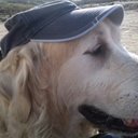 John Pollitt - @LoftartistJohn - Twitter