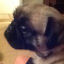 Harvey Crews - @Hcrews11 - Twitter