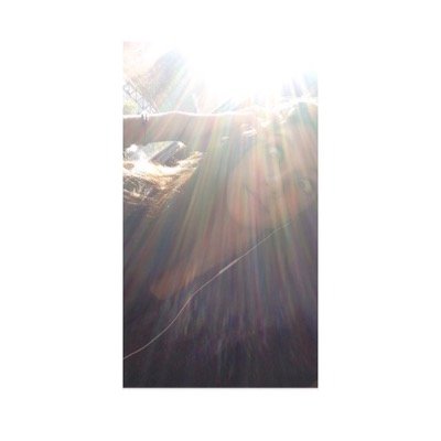 idilarkn's profile picture. 